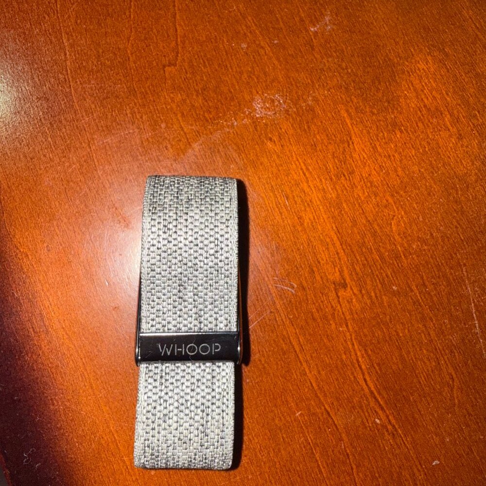 Whoop 4.0 Grey Band